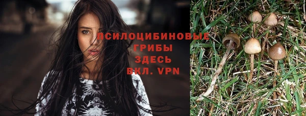 прущий лед Михайловка