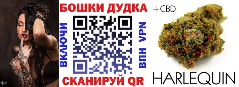 Конопля планчик  где найти   Судогда 